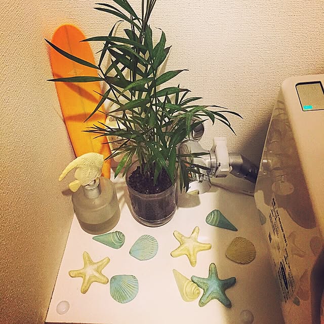 cheveuxblancsさんの実例写真
