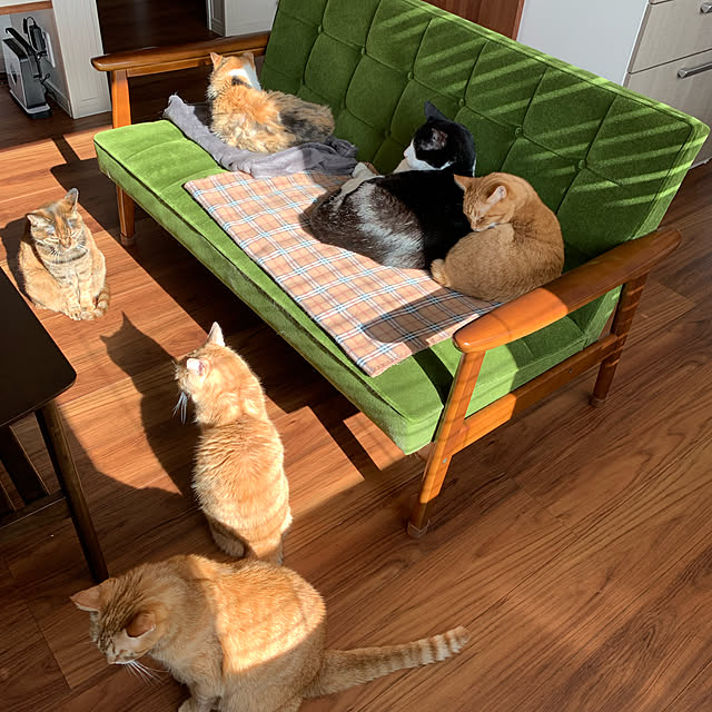 mikeume7さんの実例写真