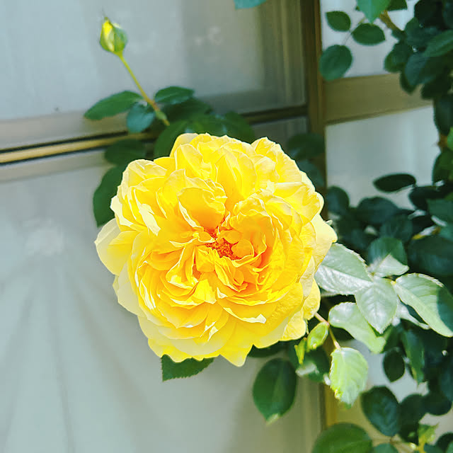 hama1219さんの部屋
