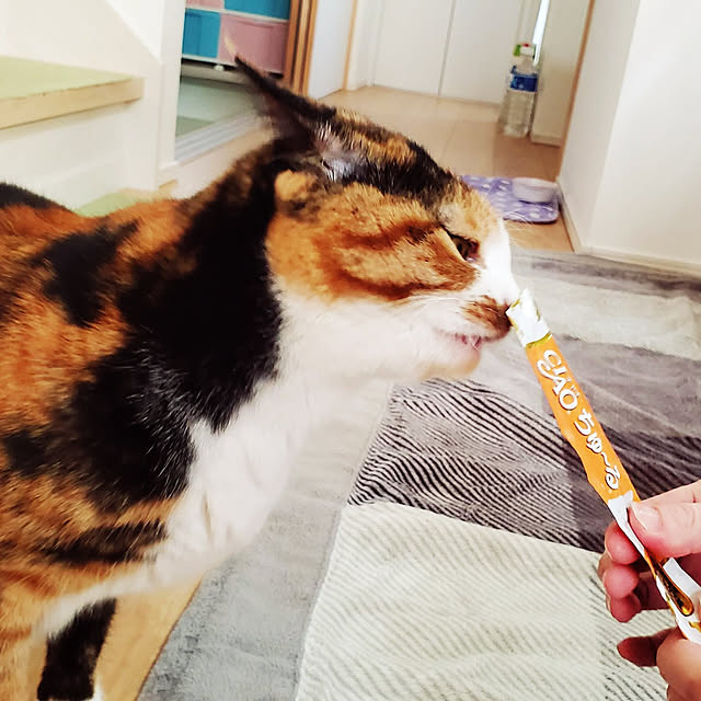 aiさんの実例写真