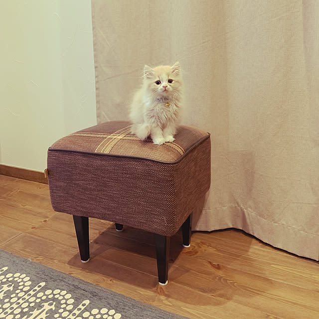 Mizさんの実例写真