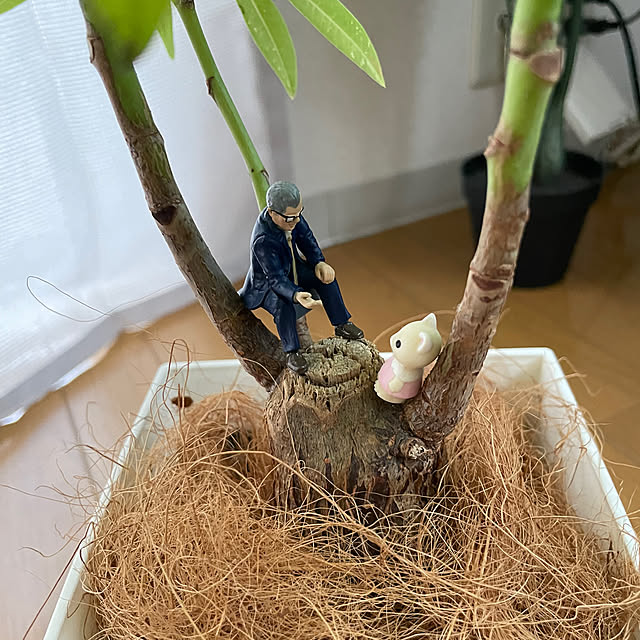 yuyuさんの部屋