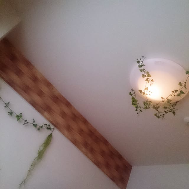 nakasetakeruさんの実例写真