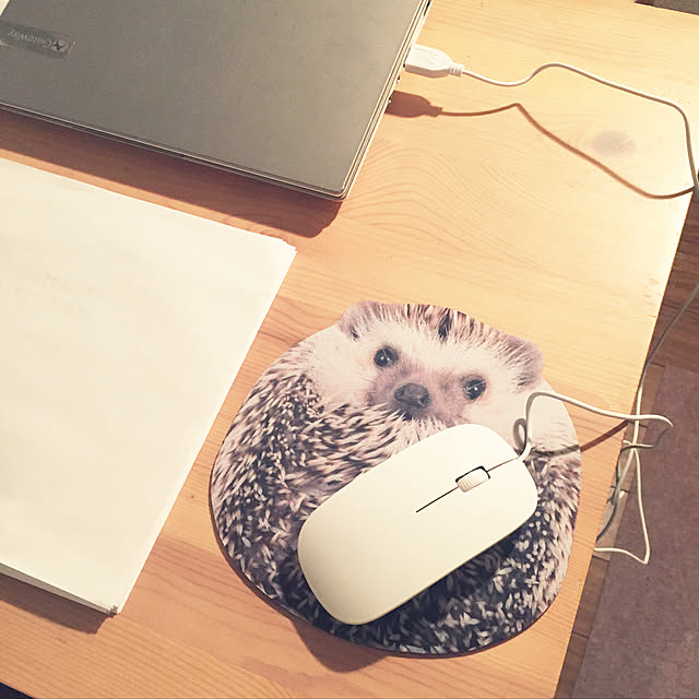 papillonさんの実例写真