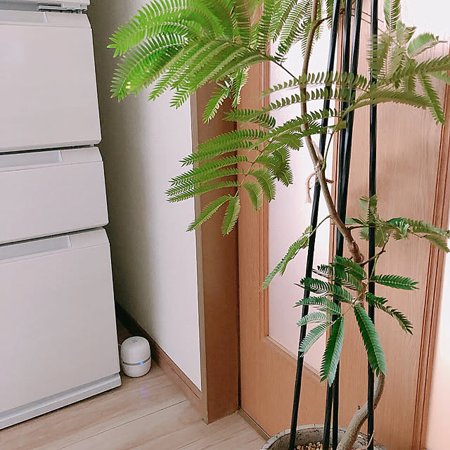 kyoko1124koさんの部屋