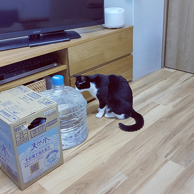 hihaさんの実例写真