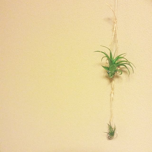 coさんの実例写真