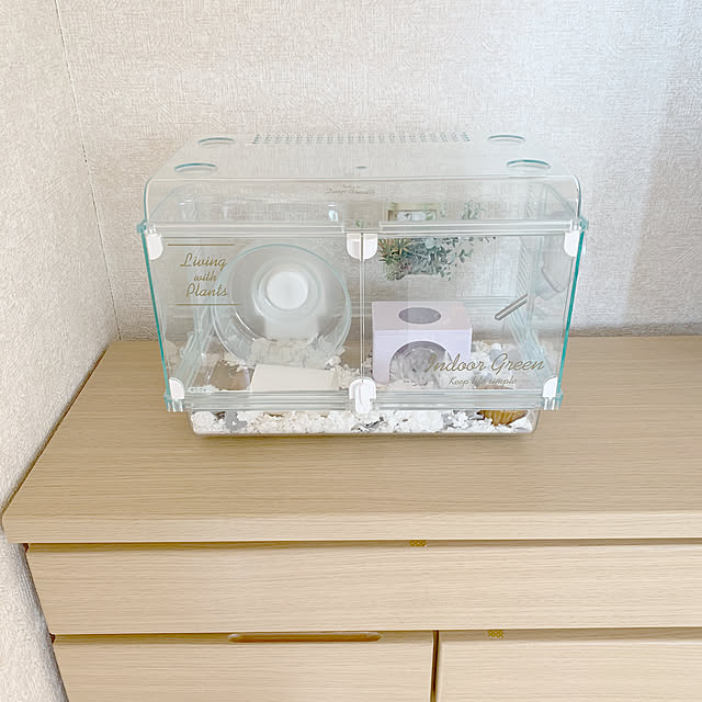 Minoriさんの実例写真