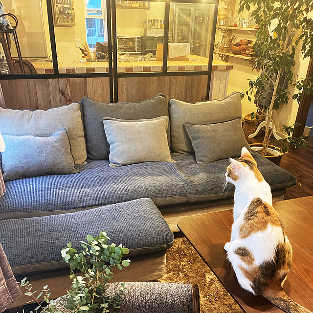 jill_lowさんの実例写真