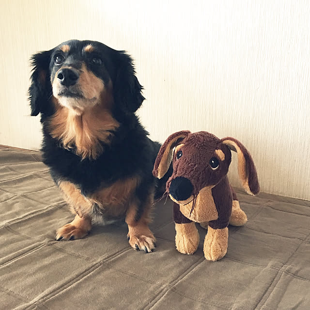 ohanaさんの実例写真