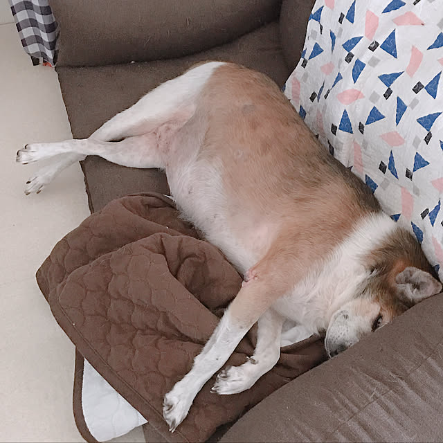 Teianさんの実例写真