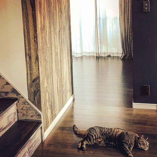 30_homeさんの実例写真