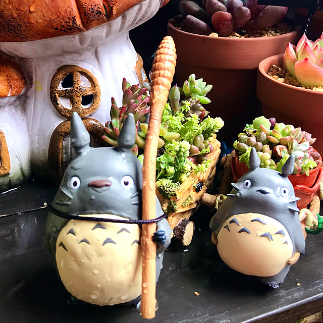 butachanさんの実例写真