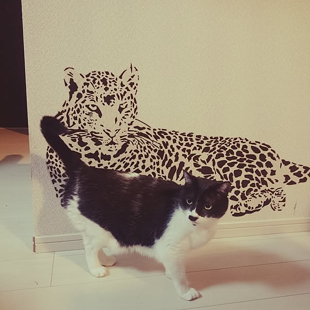 kurogoma5578さんの実例写真
