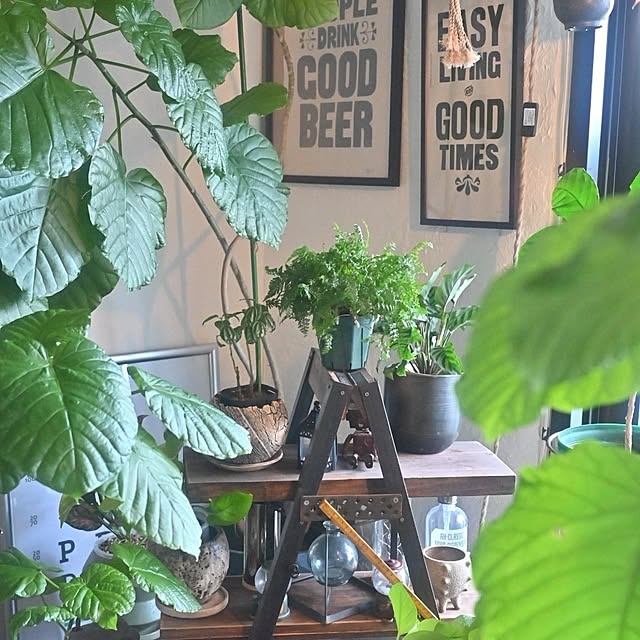 CYNOSさんの実例写真