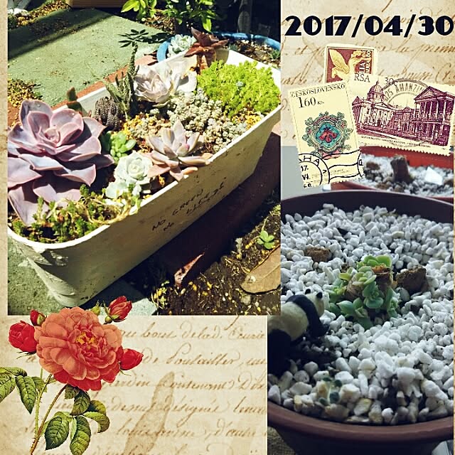 bousuke.215112さんの実例写真