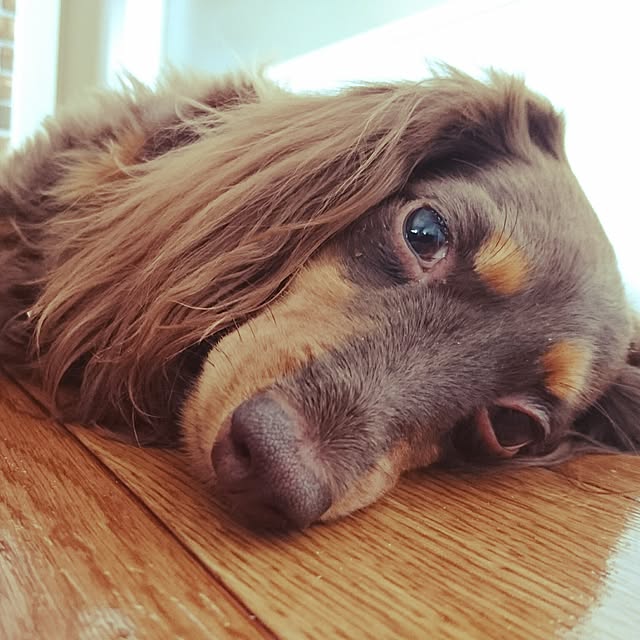 smooch_smoochさんの実例写真