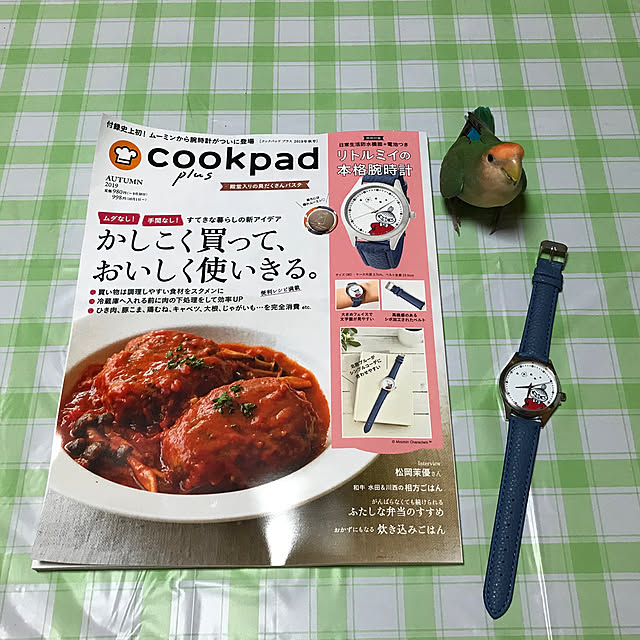 aoinokimiさんの実例写真