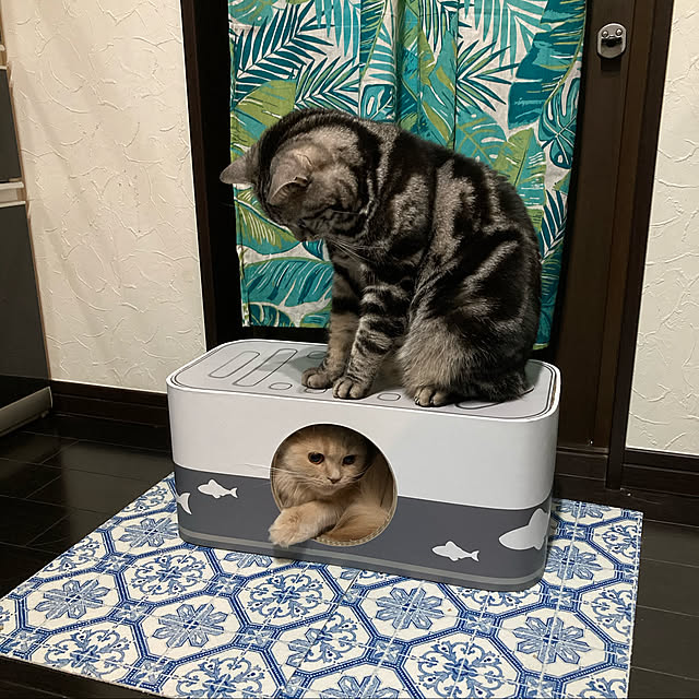r.t.mamaさんの実例写真