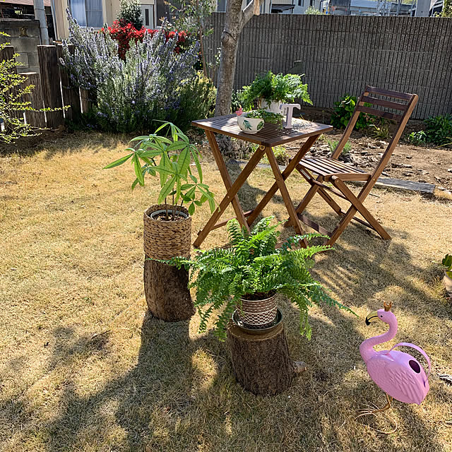 muraさんの実例写真