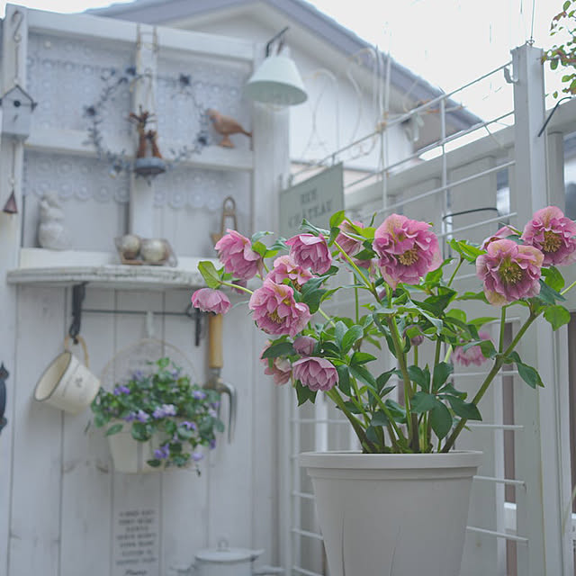 KNさんの実例写真