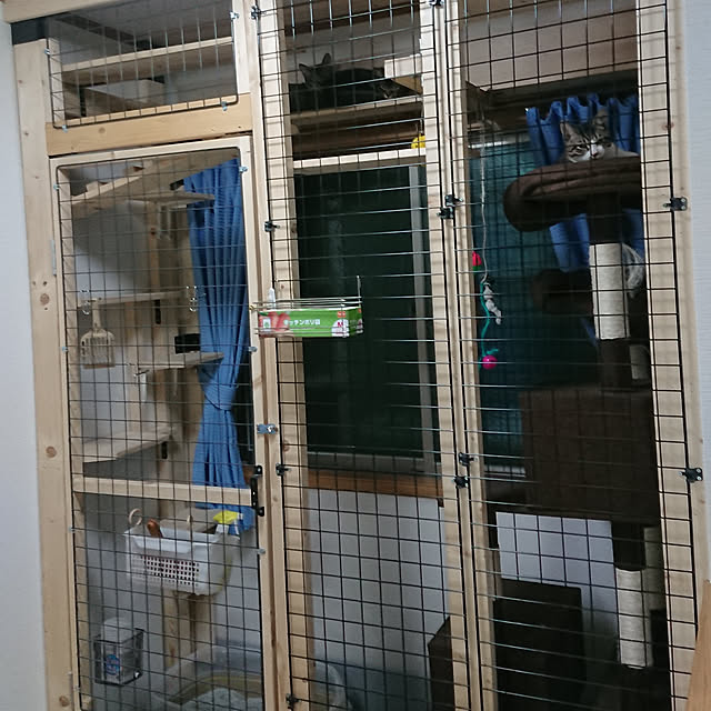 ta119ri106さんの実例写真