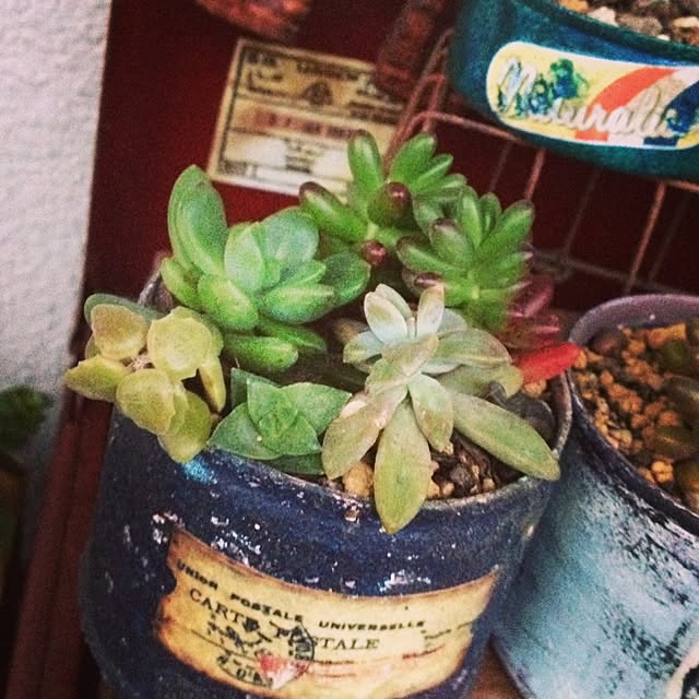 hu-さんの実例写真