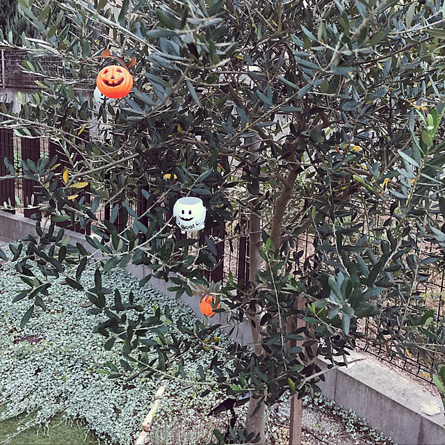 Yukicotoさんの実例写真