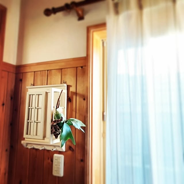 chiyumiさんの部屋