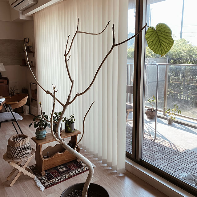 c___homeさんの部屋