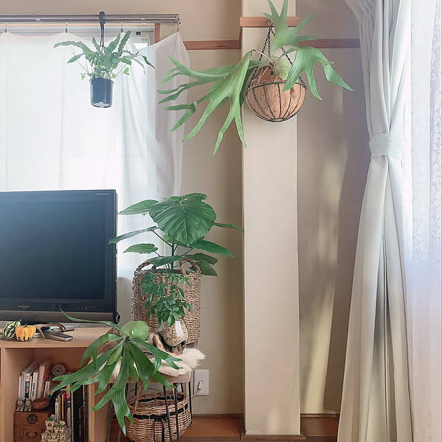 nao.roomさんの実例写真