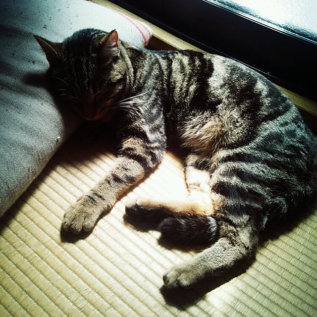 RIN5さんの実例写真