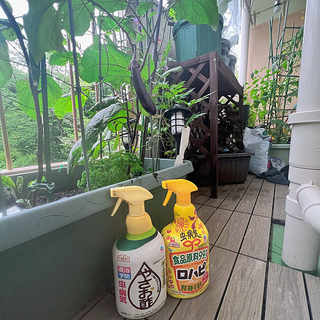 sumoanzuさんの実例写真