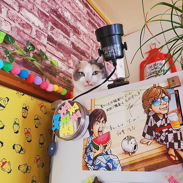 kumutanさんの実例写真