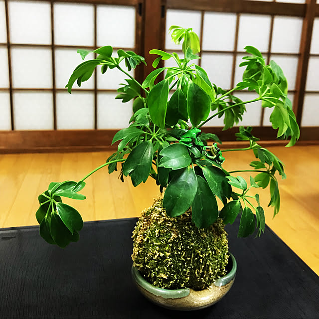 yuzukingさんの実例写真