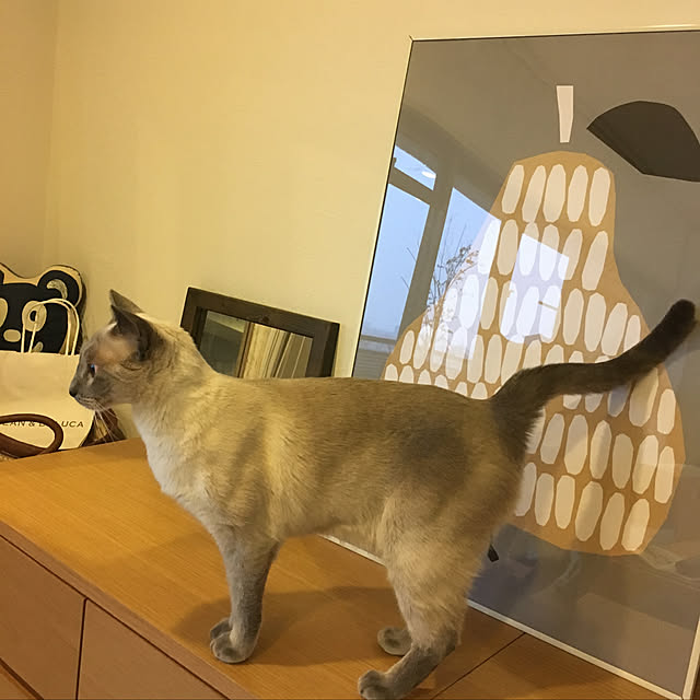 niko-25さんの実例写真