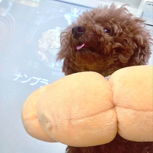 MOMOMAMAさんの実例写真