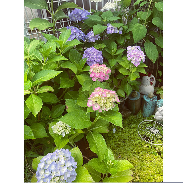 CoCo0617さんの部屋
