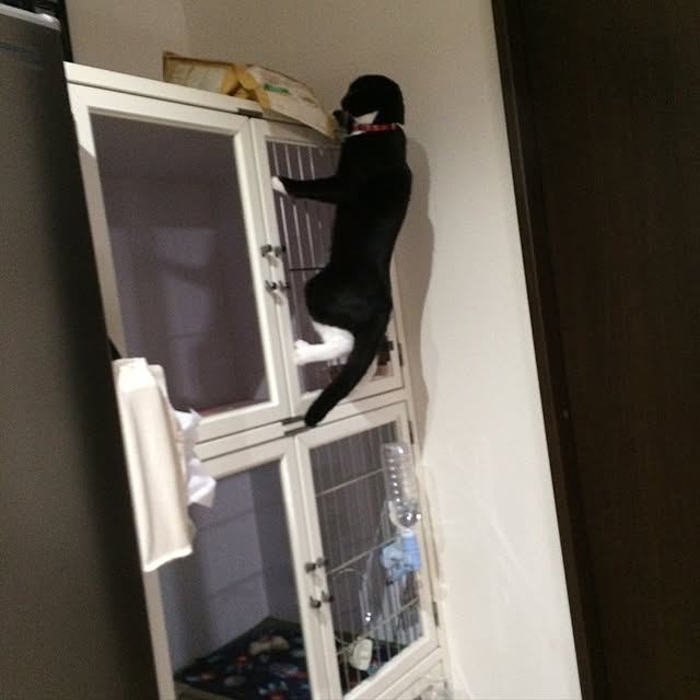 mikan0607さんの実例写真