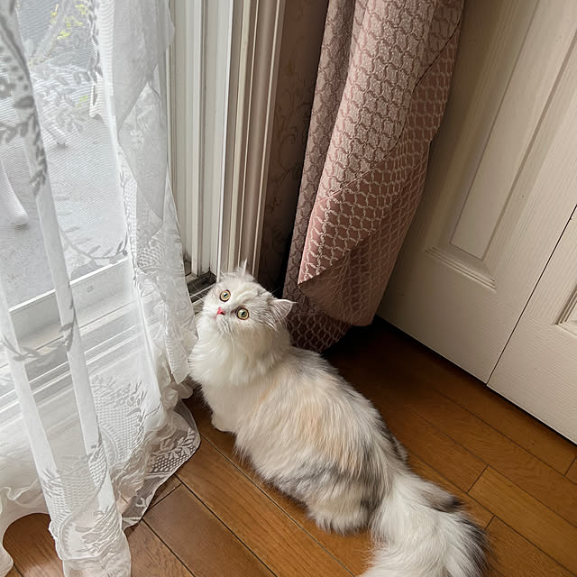 AYUKOさんの部屋
