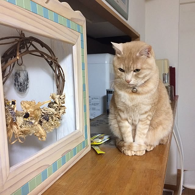 Seikoさんの実例写真