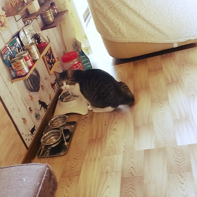 Tomopさんの実例写真