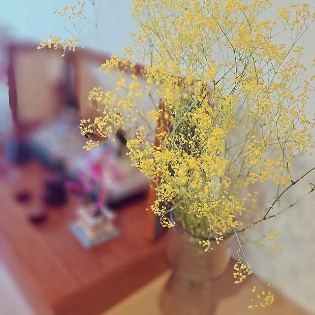 sakura_3さんの部屋