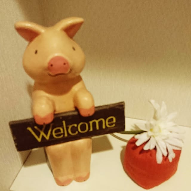 Yuさんの実例写真