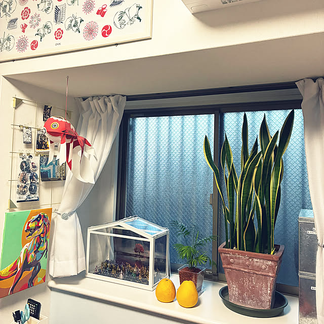 koshiregutyoさんの部屋