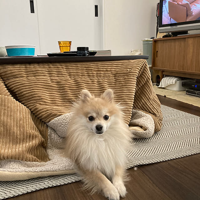 Seisenさんの実例写真