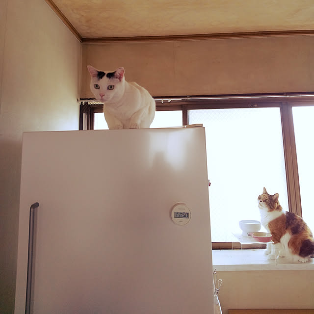 yukieさんの実例写真