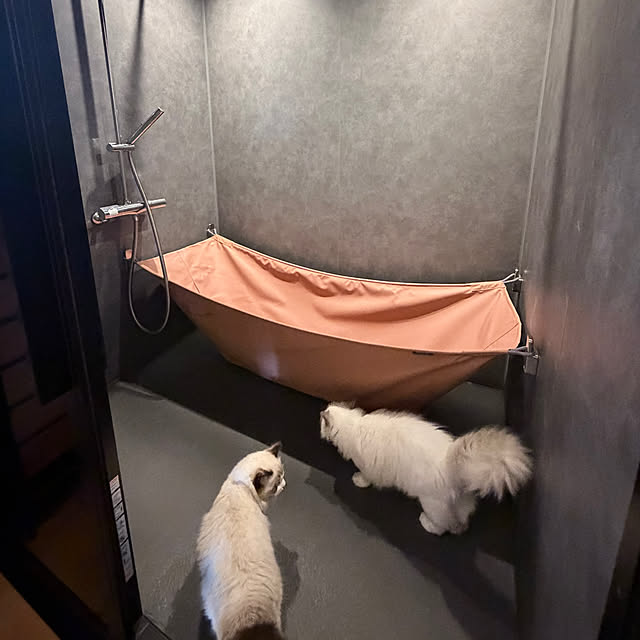 puffloveさんの部屋