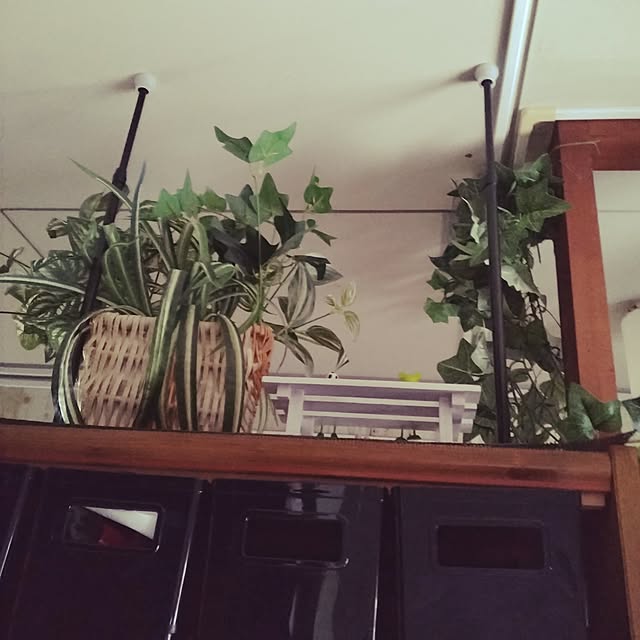runaさんの部屋