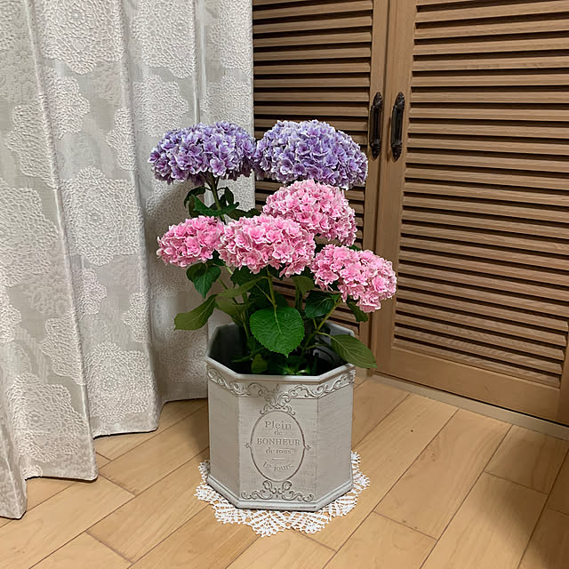 maayaさんの部屋